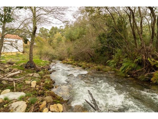 Terreno en pozo negro