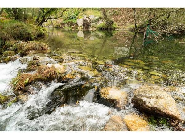 Terreno en pozo negro