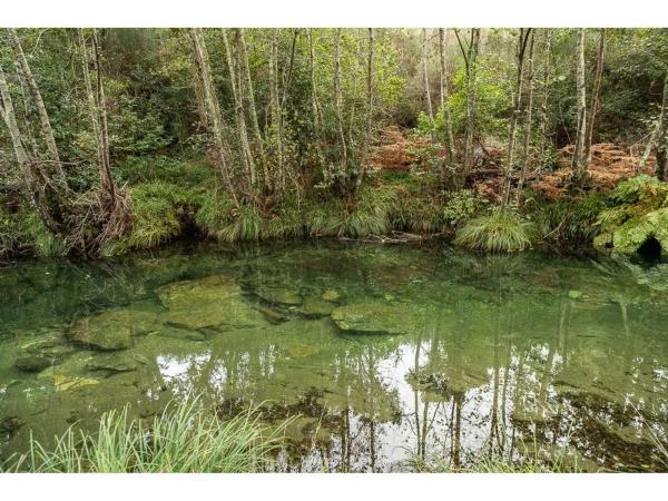Terreno en pozo negro