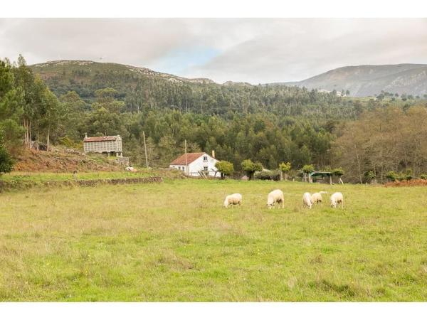 Terreno en pozo negro