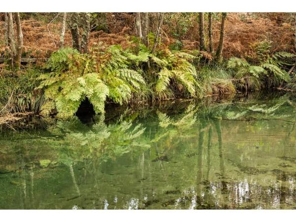 Terreno en pozo negro