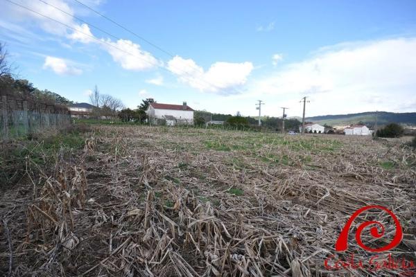 Terreno en lugar brion abaixo