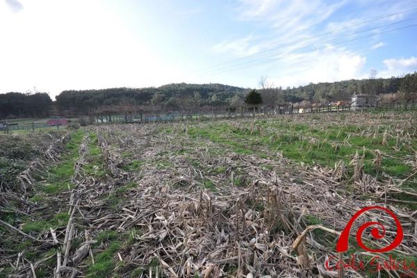 Terreno en lugar brion abaixo