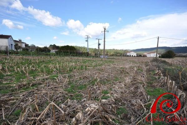 Terreno en lugar brion abaixo