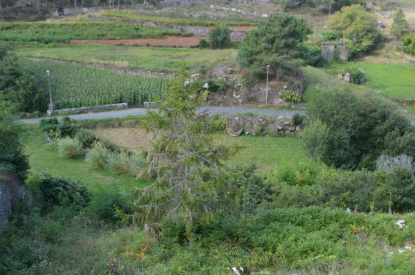 Terreno en lugar de tarela, 5