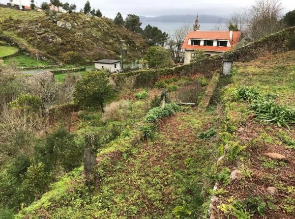 Terreno en lugar de tarela, 5