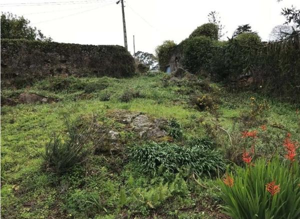 Terreno en lugar de tarela, 5