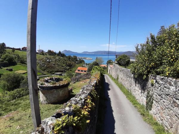 Terreno en lugar de tarela, 5