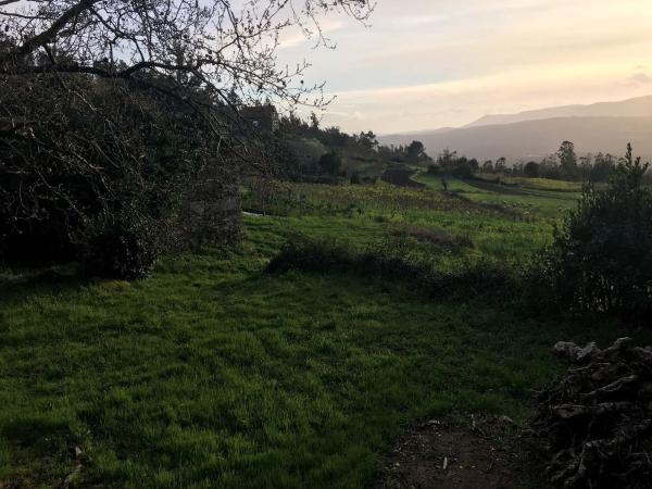 Terreno en Saramagoso s/n