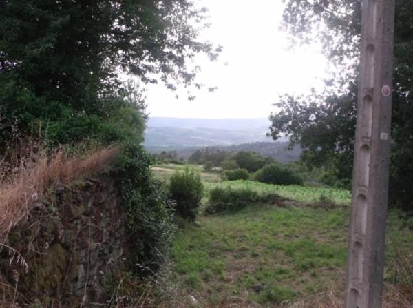 Terreno en Saramagoso s/n