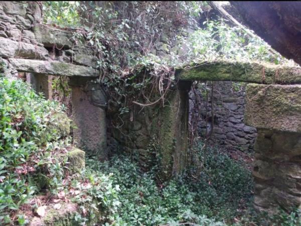 Terreno en Saramagoso s/n