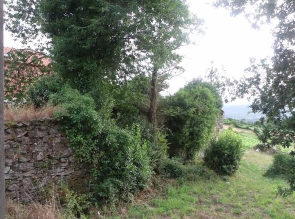 Terreno en Saramagoso s/n