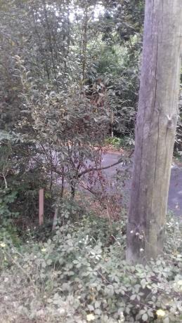 Terreno en Dp-4502, km 10