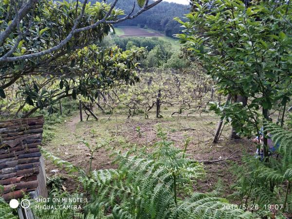 Terreno en Dp-4201, 1