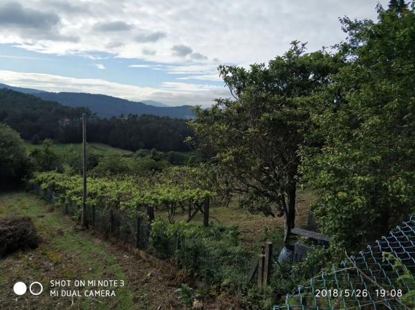 Terreno en Dp-4201, 1