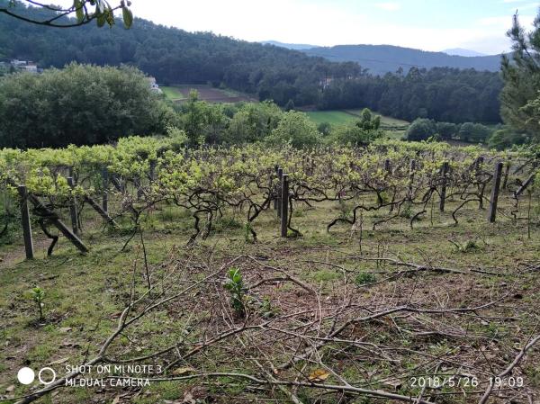 Terreno en Dp-4201, 1