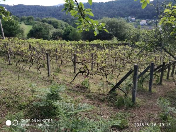 Terreno en Dp-4201, 1