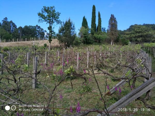 Terreno en Dp-4201, 1