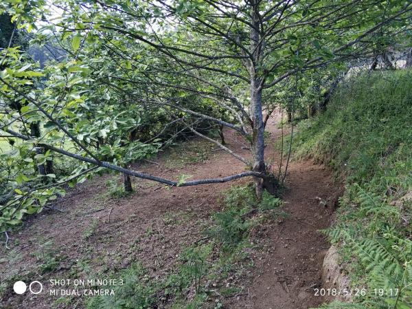 Terreno en Dp-4201, 1