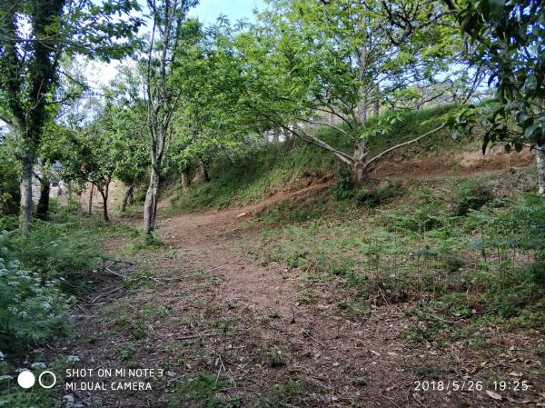 Terreno en Dp-4201, 1