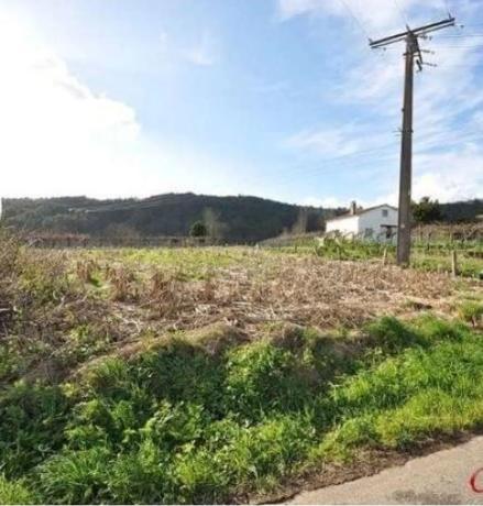 Terreno en carretera Ac-550, 35