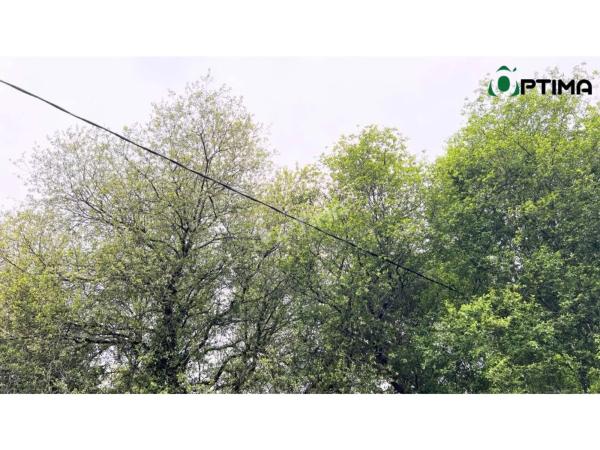 Terreno en N-547, 16