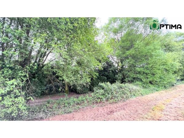 Terreno en N-547, 16