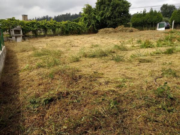 Terreno en Lugar Amenal s/n Sn