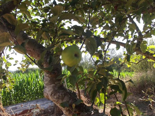 Terreno en Parroquia de Gonzar s/n