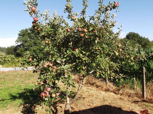 Terreno en Parroquia de Gonzar s/n