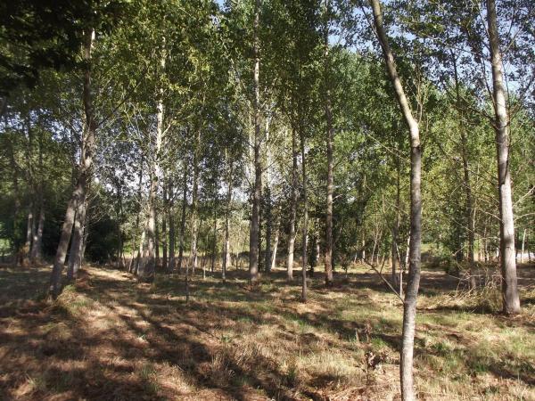 Terreno en Parroquia de Gonzar s/n