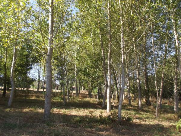 Terreno en Parroquia de Gonzar s/n