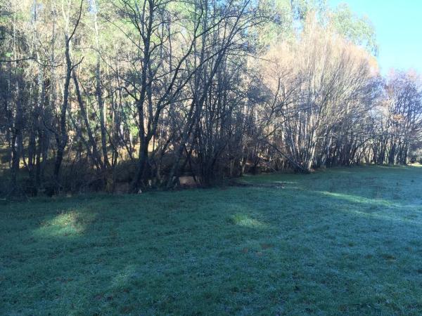 Terreno en Santa María de Gonzar, o Pino 15887, 1