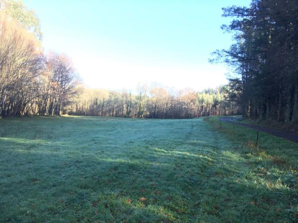Terreno en Santa María de Gonzar, o Pino 15887, 1