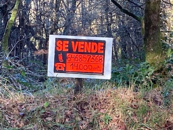 Terreno en Santa María de Gonzar, o Pino 15887, 1