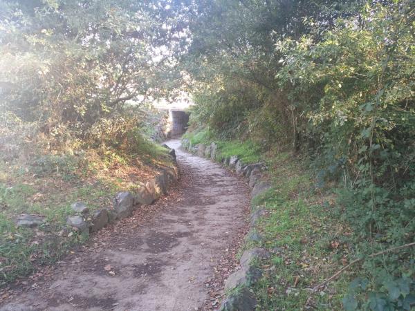 Terreno en La Brea, 25