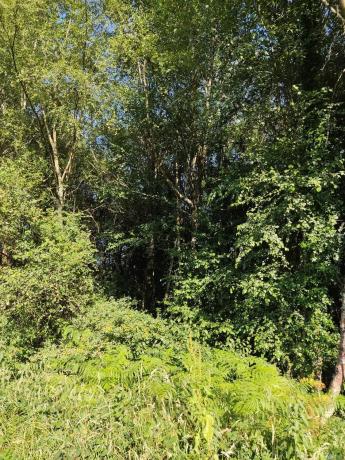 Terreno en sitio da fonte fría, parroquia de san cosme de oines, 85