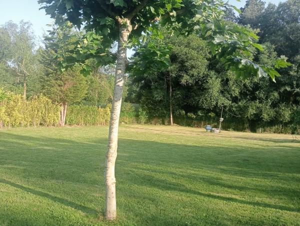 Terreno en Balado s/n