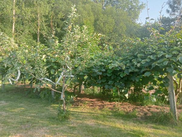 Terreno en Balado s/n