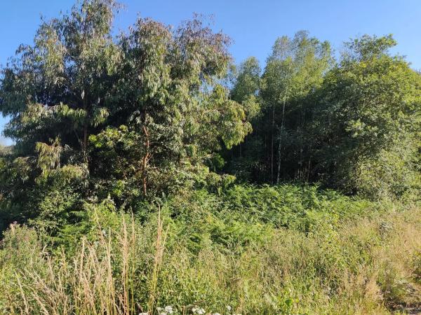 Terreno en sitio da fonte fría, parroquia de san cosme de oines, 85