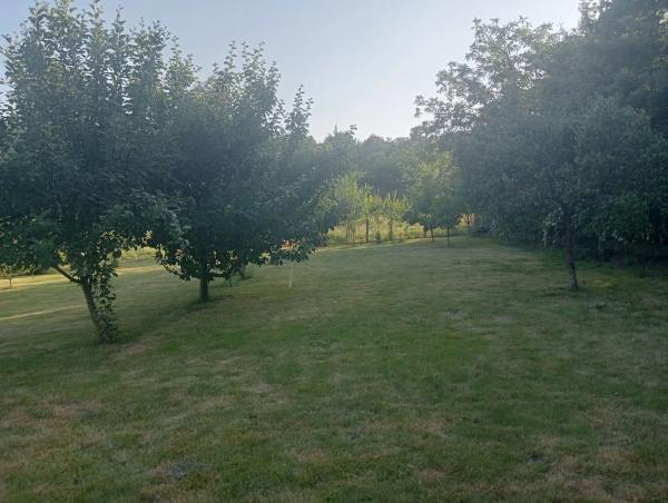 Terreno en Balado s/n