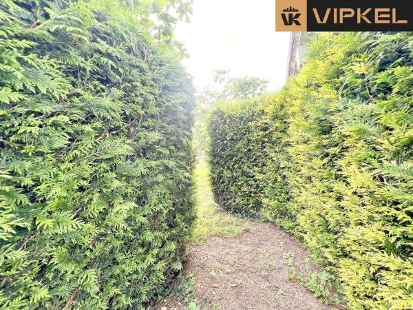 Terreno en Lugar a estación