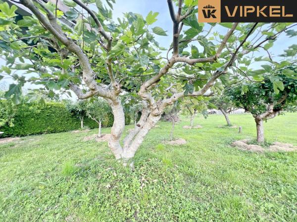 Terreno en Lugar a estación