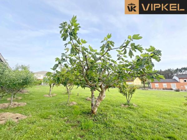 Terreno en Lugar a estación