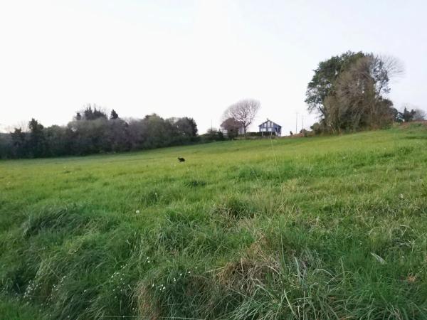 Terreno en Leira s/n