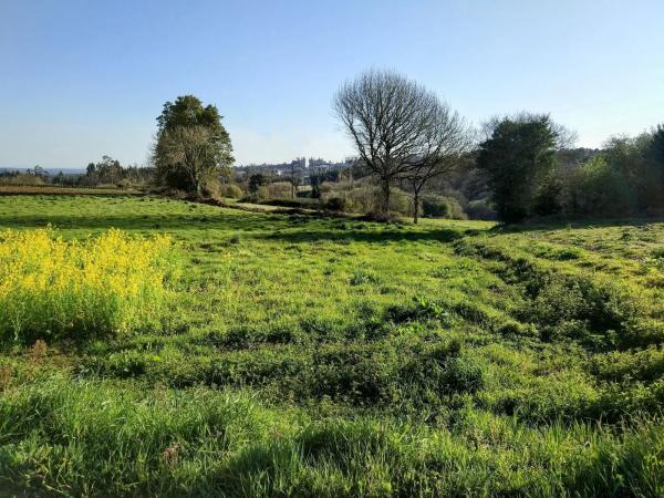 Terreno en Leira s/n
