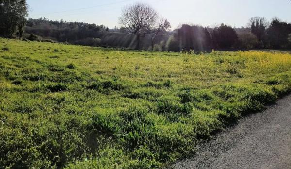 Terreno en Leira s/n