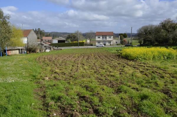 Terreno en Castrelos, 54