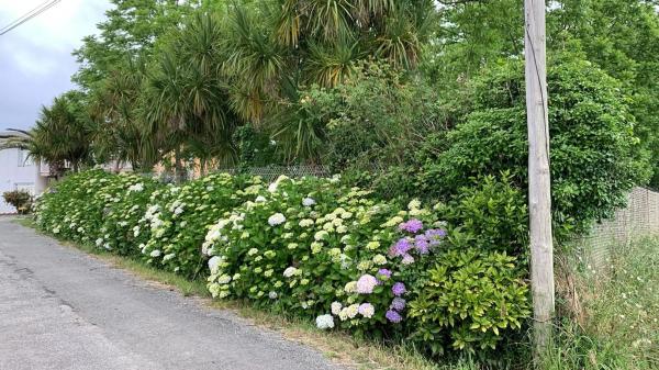 Terreno en cabanas, 550