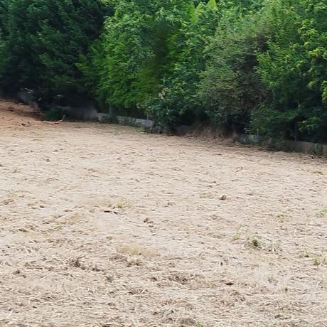 Terreno en Villarromariz s/n